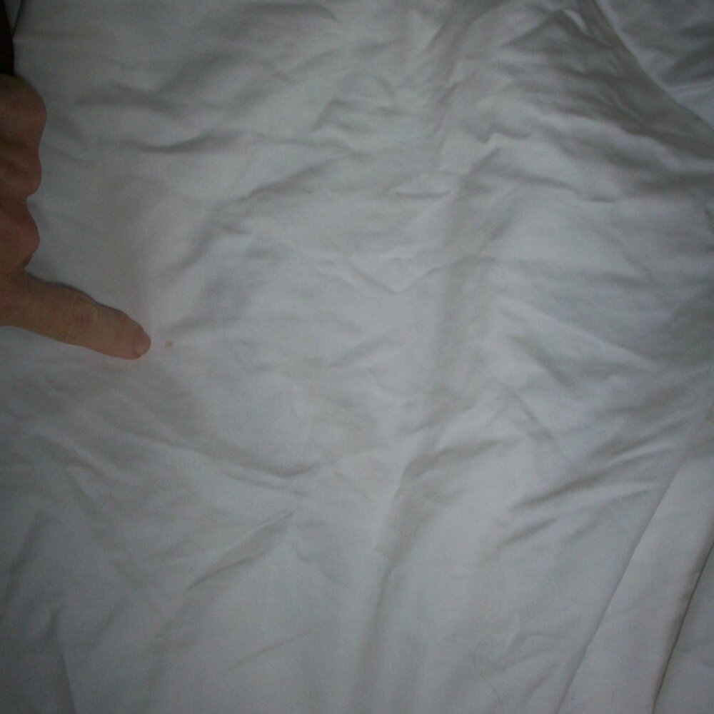 Calvin Klein Home King Flat Top Sheet 100% Cotton, Made in India, r/n 33699 - Picture 11 of 12